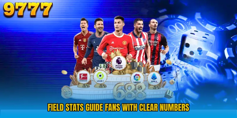Field stats guide fans with clear numbers